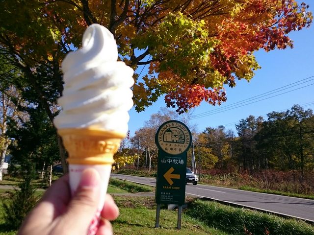 �k�C���̍g�t�ƐԈ�쑺�̎R���\�t�g�N���[���A�����̖����Z���T�b�p���Ƃ������������\�t�g�N���[���ł��B_�k�C�����M�ό��l�͂ȃ^�N�V�[