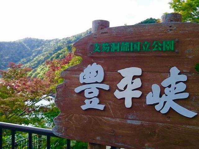 �L�����_���́A�H�g�t�̖����Ƃ��Ă��L���ł��B_�k�C�����M�ό��l�͂ȃ^�N�V�[