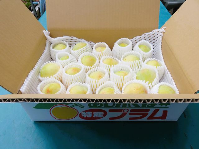 �����N�A�l�X�𖣗����鑡���p�́����̃v�����B����܂Œ��J�Ɏ��A�����薺�̂悤�ɑ�؂Ɉ�ďグ�܂��B��ԉɂ������͔|�����l����w���߂܂��B_�r�̒[�_��