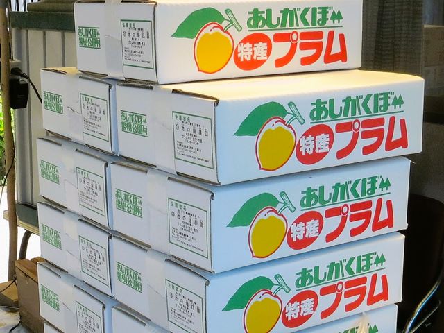 �����N��ϐl�C�ŁA�\�񒍕��������񂹂��鏤�i�ł��B���̂��߁A����]�ɉ����Ȃ��ꍇ���������܂��B���͂��ł��Ȃ��������q�l�ɂ́A�S��肨�l�ѐ\���グ�܂��B_�r�̒[�_��