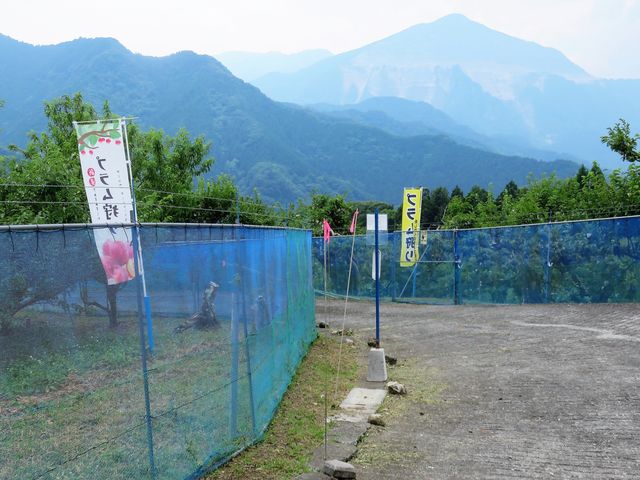 �g�v�������h�@�����̃V���{���̎R�E���b�R�i�Ԃ�������j1,30�S���B12�����ɐΊD�΂𔚔j����y�_�C�i�}���z�����񋿂��n��A�ΊD���������オ��̂������܂��I_�r�̒[�_��