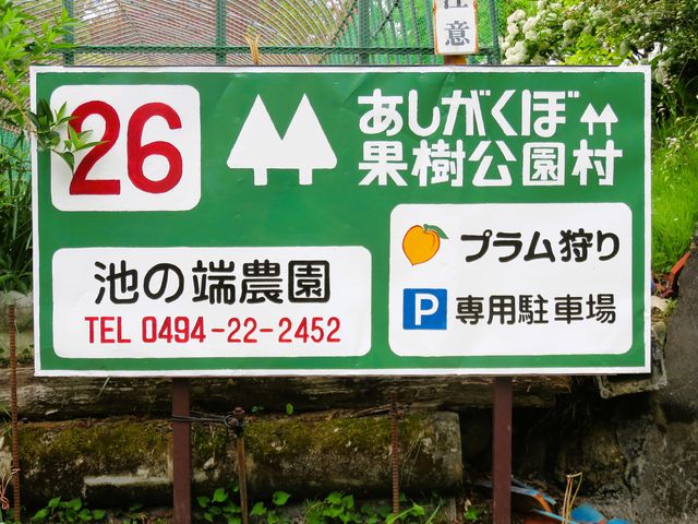 �w�v��������p���ԏ�x�̊Ŕł��B���������ډʎ��������������������̊ŔŁA�B�ꂱ�̊Ŕ̂ݎc���Ă��܂��B�M�d�ȊŔŁA��؂Ƀ����e���Ďg�������Ă��܂��B_�r�̒[�_��