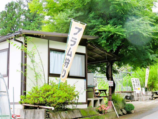 �g �v�������h �̎�t�́u�̂ڂ���v��u�Ŕv�Ŗڈ�ƂȂ��Ă��܂��B��t���ς܂��āA���҂����������B_�r�̒[�_��