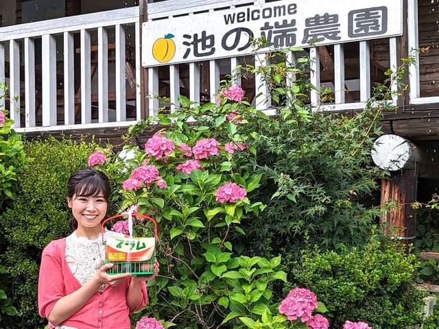 2023�N7��9��(��)17:30�` TBS N�X�^ �œ����v���������Љ�B���J�ԓߎq�i�݂����ɁE���Ȃ��j����C�ۗ\��m�B_�r�̒[�_��