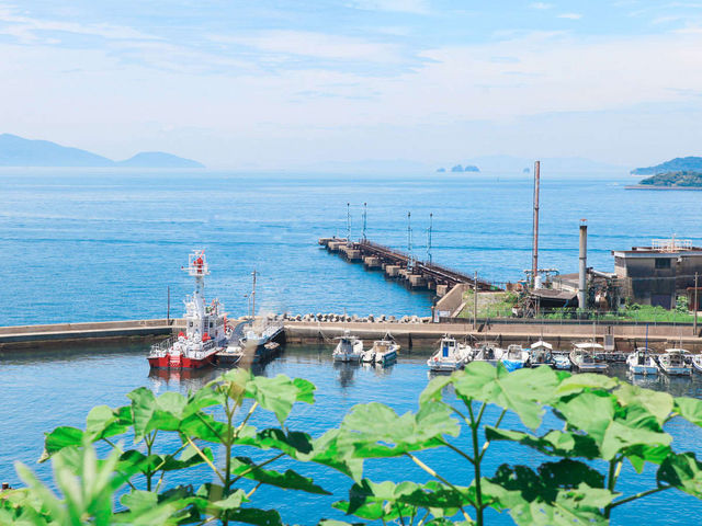 �z�e�����猩���鍂�����`_�q�~�V�[�T�C�h�z�e��