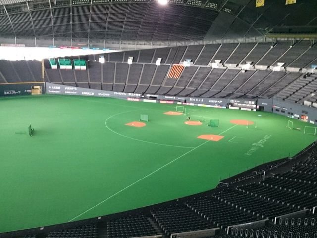 �D�y�h�[���ό�_�֌��^�N�V�[