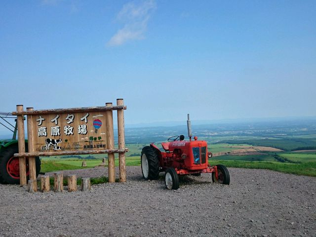 ��m�y�i�C�^�C�����q��_�֌��^�N�V�[