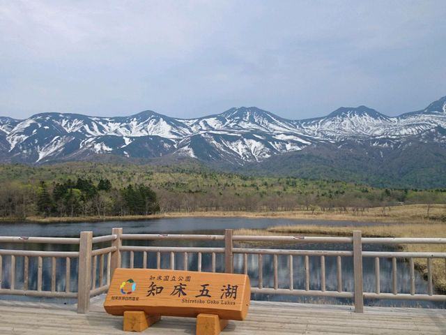 �m���܌�_�֌��^�N�V�[