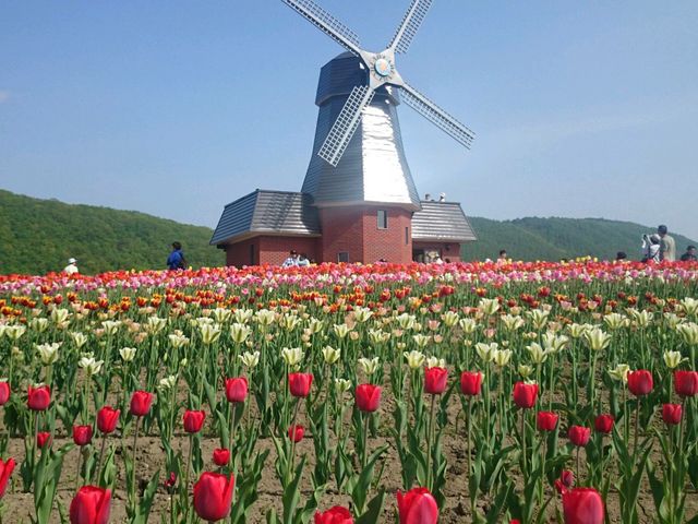 ��N�ʃ`���[���b�v����_�֌��^�N�V�[