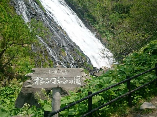 �m��   �I�V���R�V���̑�_�֌��^�N�V�[