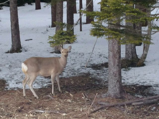 �G�]�V�J_�֌��^�N�V�[