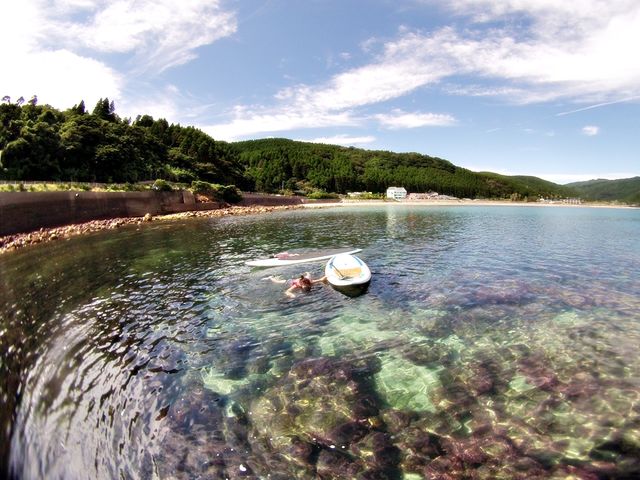 ���̓m�L�����v��