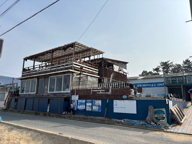 �V�[�K���C���̎ʐ^1