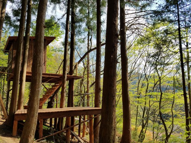 �c���[�n�E�X �V��_�Ö��Ƃ̏h�@����