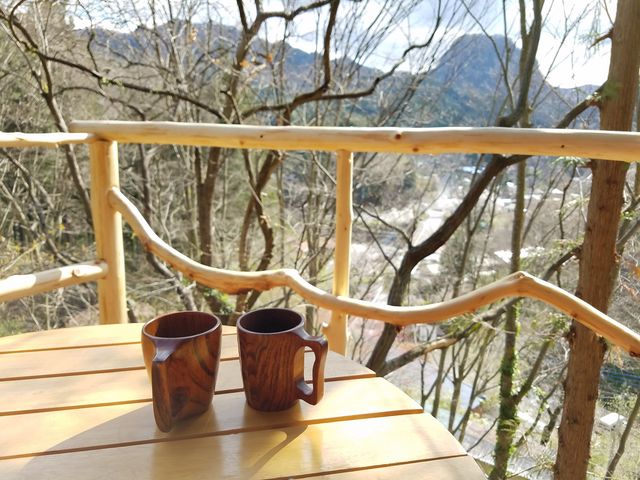 �c���[�n�E�X - �L�}�R�����ʂɌ������i�ł��B_�Ö��Ƃ̏h�@����