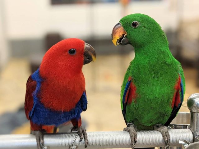 �F�N�₩�Ȓ�����B�I_���̂���J�t�F��ʖؓX