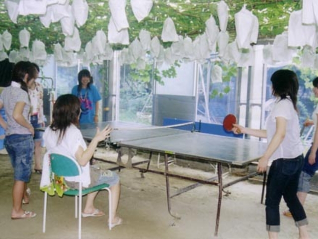 �Ԃǂ��̉��ő싅��_�K�ʉ�