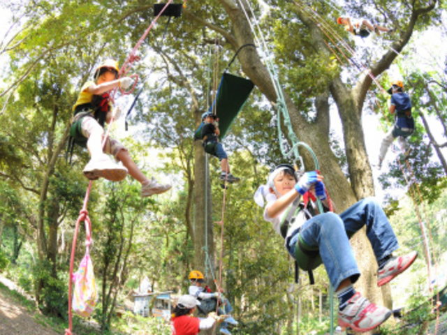 �L�b�Y�łт�`_MotherTree�ӂ��[���