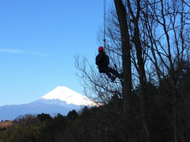 �v���o�ɕx�m�R��_MotherTree�ӂ��[���