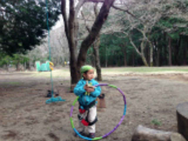 ���̊Ԃɂ������~��ŁA�������ɍĊJ_MotherTree�ӂ��[���