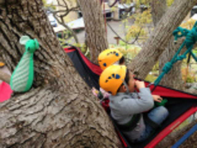���ォ��V���{����
�t�@���^�W�[_MotherTree�ӂ��[���