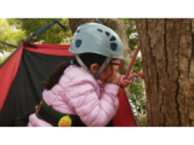 ���ꂳ��֌�������
�V���{���ʂӂӂ��[_MotherTree�ӂ��[���