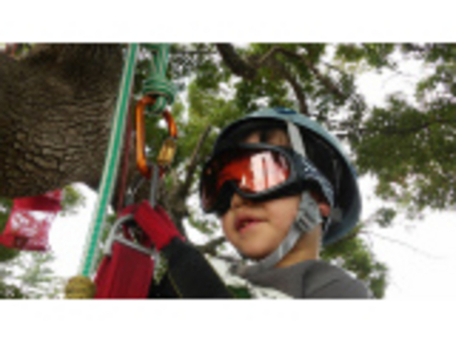 �N���C�}�[�͖ڂ����I_MotherTree�ӂ��[���