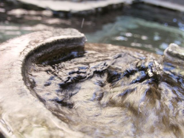 3�K�I�V���C�̓����B�Ξe����͖�60�x�̐��܂ꂽ�Ẳ��򂪈��o���܂��B_�g�c���R���t