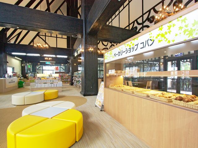 �y��򃌃C�N�T�C�h�V���b�v�X��_�z�e���O���[���v���U�y���