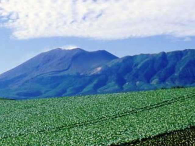 ��ԎR�ƃL���x�c��_�z�e���O���[���v���U�y���