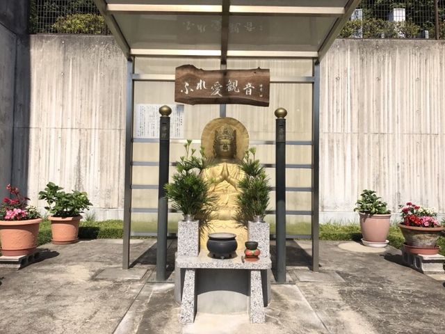 �����R ��t��