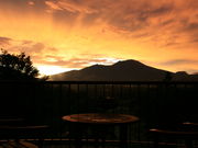 Jardin dfete@Ă̒̎ʐ^3