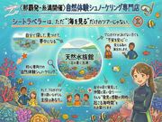 �V�[�g���x���[�̎ʐ^2