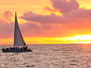 IN}vCx[gr[`][g̎ʐ^2