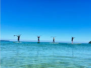 �V�[�K���C���̎ʐ^2