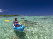 Ί_AEghAcA[ 炿̎ʐ^4