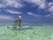 Ί_AEghAcA[ 炿̎ʐ^3