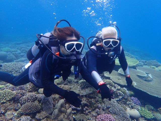 �}�����V���b�v �}�[���C�h