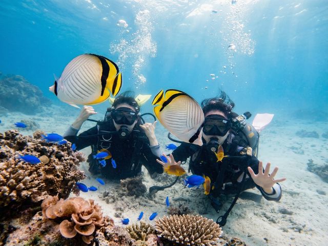 �}�����V���b�v �}�[���C�h