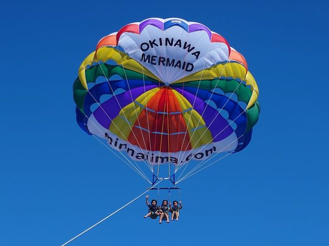 �}�����V���b�v �}�[���C�h