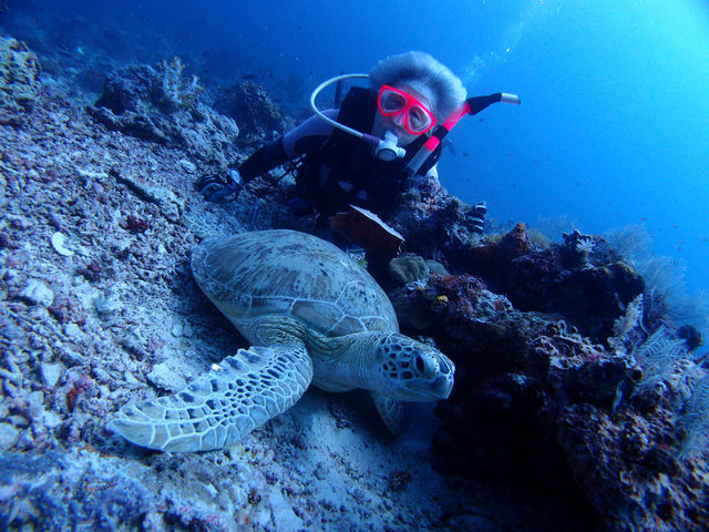 ���c���_�C�r���O�X�N�[��