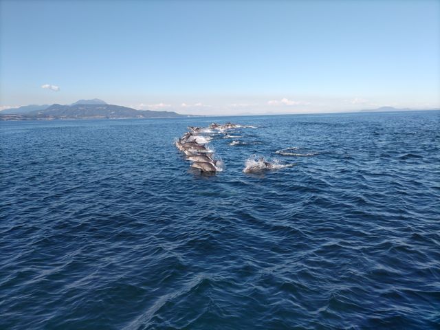 �C���J�E�H�b�`���O ���V�Êό��D