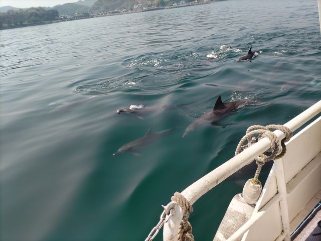 �C���J�E�H�b�`���O ���V�Êό��D