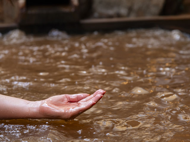 *�y����z�N�M�̋���������\������_�L�n����`����E����4�̑ݐؕ��C�`�����̏h�@�N�M