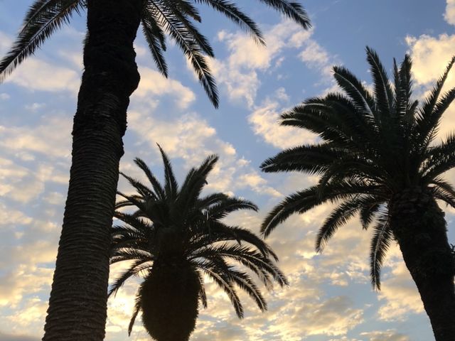 �t�B�b�V���O�p�[�N �A���N�X�|���h�Ē�