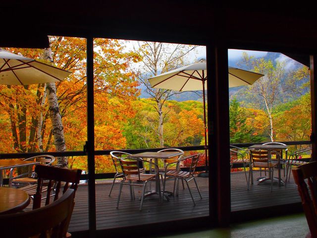 �g�t�̎����̃e���X��_���r�ǂ񂮂�n�E�X