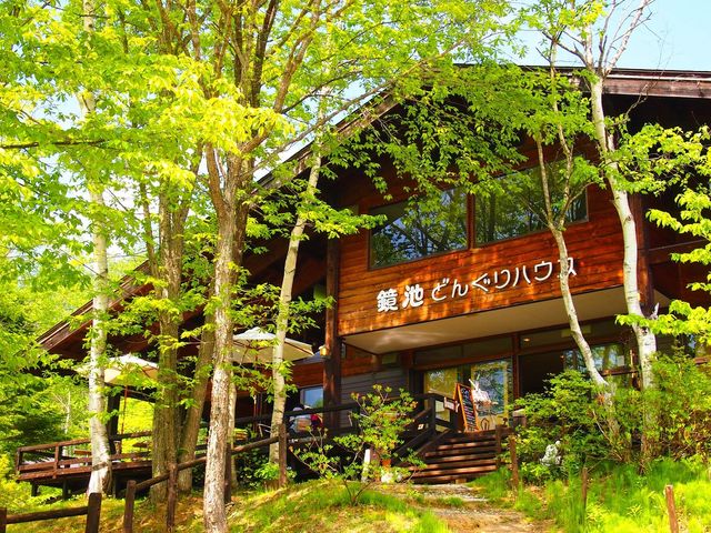 ���r�ǂ񂮂�n�E�X�O��_���r�ǂ񂮂�n�E�X