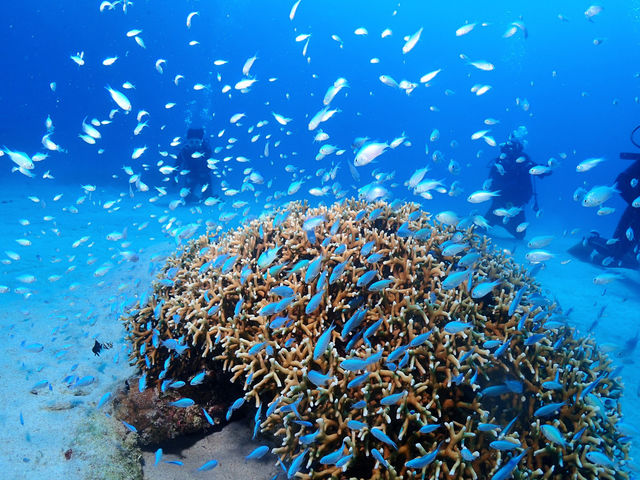 ����}�����N���u�A��