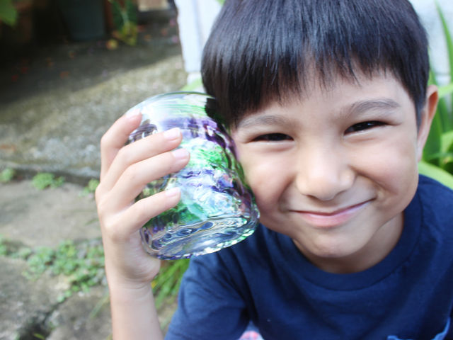 �v���o�̗����K���X�ƁB_���͌��g�����K���X�H�[