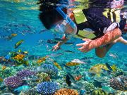 �}�����V���b�v �}�[���C�h�̎ʐ^3